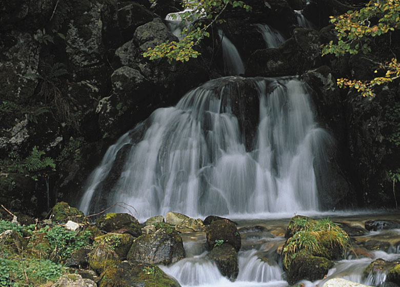 caso-parque-natural-de-redes-cascada-3